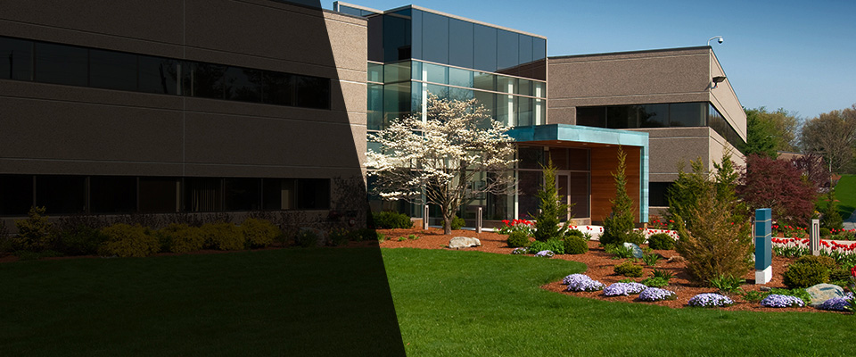 New Waverly Landscapers