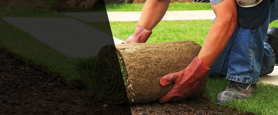 New Waverly Landscapers